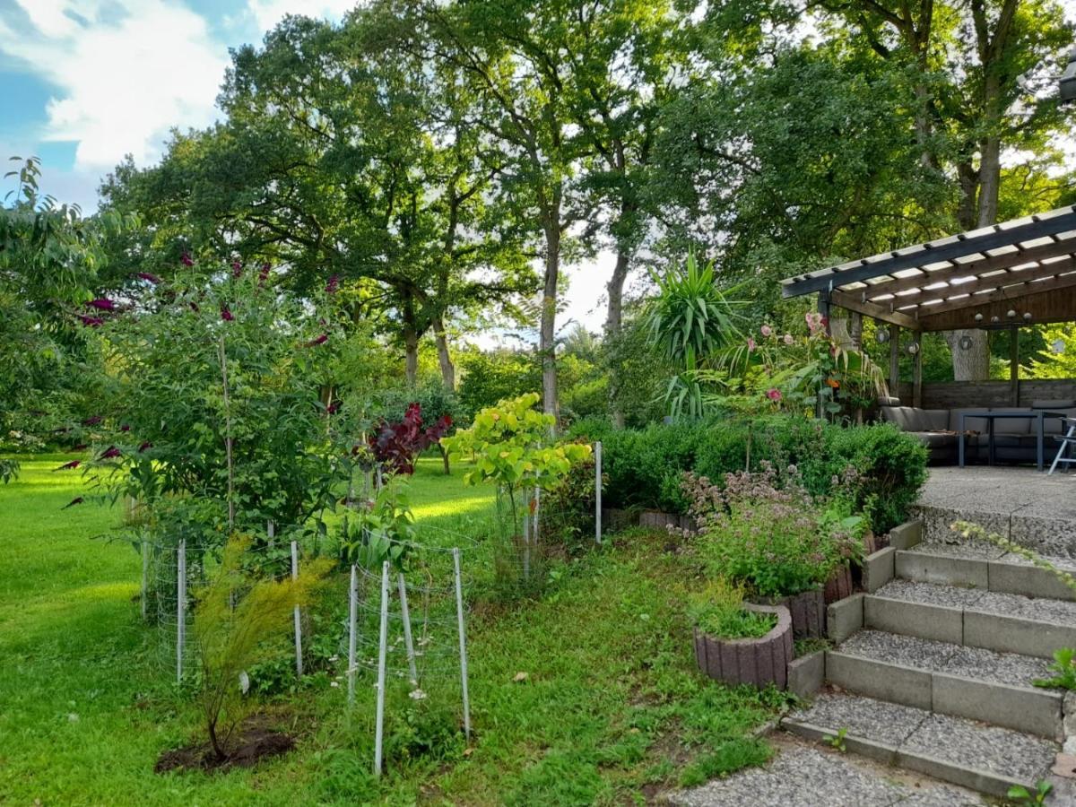 Haus Wald Und Wiese Wohnung Wiese Ehndorf Extérieur photo